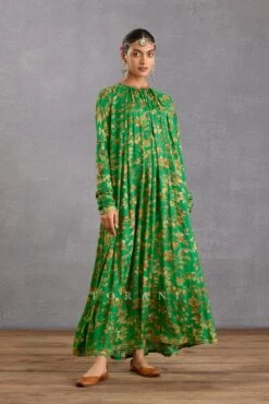 Rang Naaz Amrut Maxi Dress