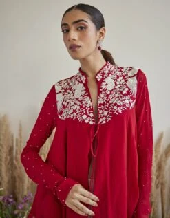 Parsi Gaara Kediya Top -Charmers Shop ct1032pgr4