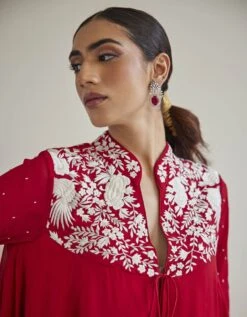 Parsi Gaara Kediya Top -Charmers Shop ct1032pgr5