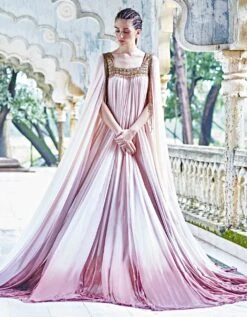 Rose Ombre Panel Gown