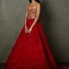 Scarlet Red Aria Embroidered Gown
