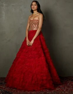 Scarlet Red Aria Embroidered Gown