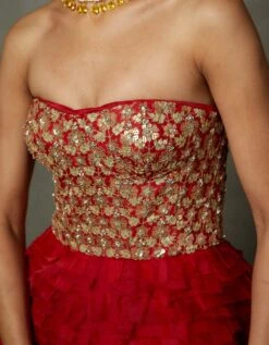 Scarlet Red Aria Embroidered Gown -Charmers Shop gwnpoa02dtq603838cscarletred5
