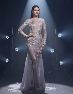 Ojasvi Gown In Grey -Charmers Shop ojasvigreyb